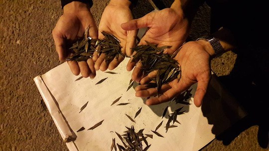 Shop TIN 9/6:Vinh danh ngay thương hiệu sản phẩm an toàn, tin dùng nếu nộp tiền - ảnh 5