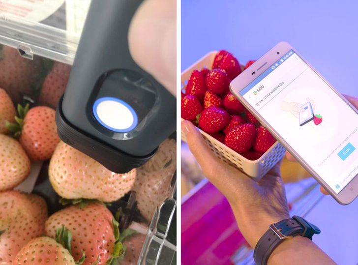 11 cách nhận biết thực phẩm bạn mua có phải đồ tươi ngon hay không? - Ảnh 9.