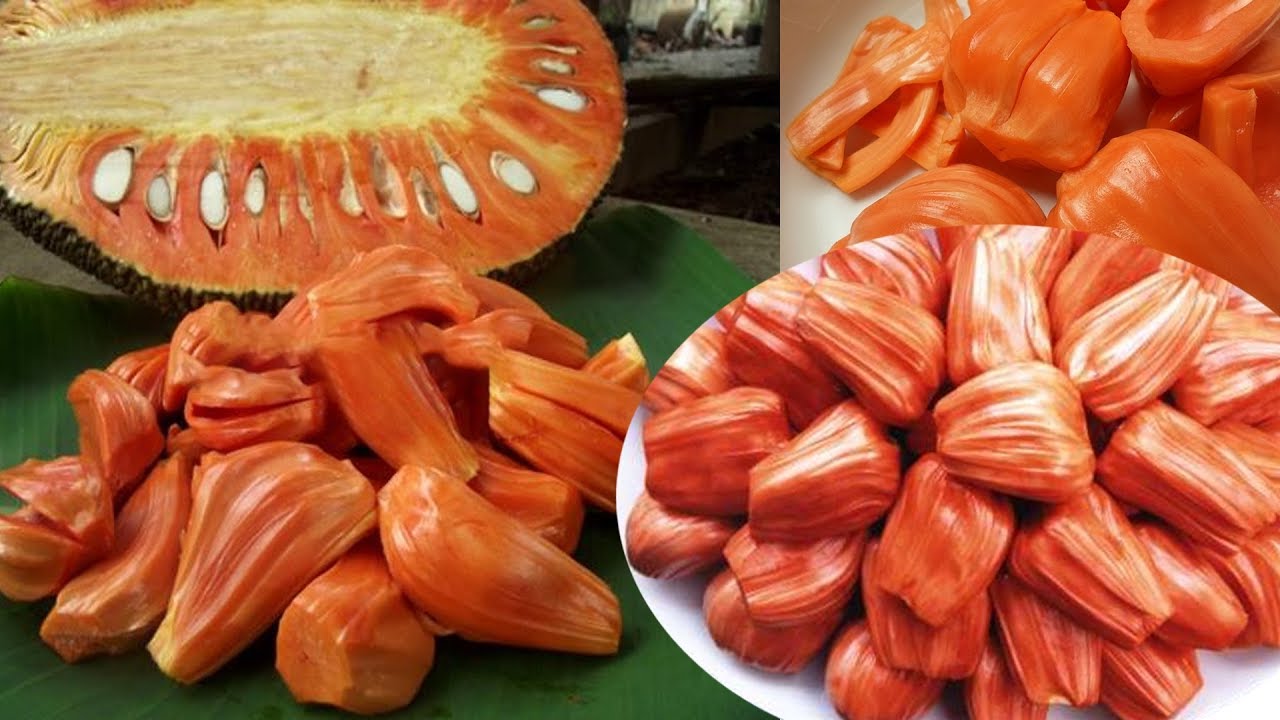 Siêu to khổng lồ hay có màu sắc đặc biệt: 7 loại quả đang trồng ở Việt Nam này tới người Việt chưa chắc đã biết - Ảnh 8.