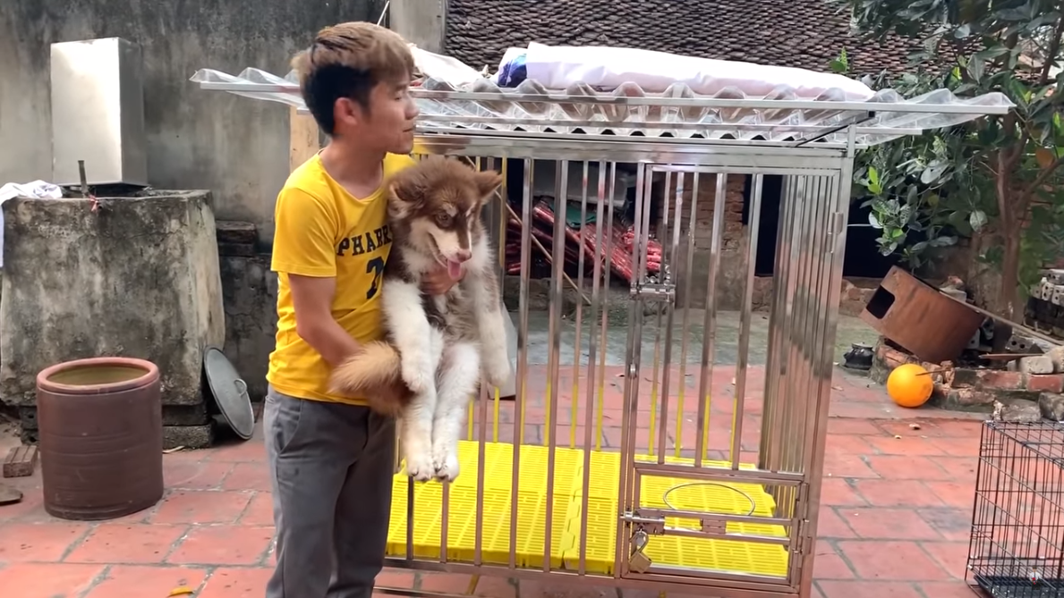 Con trai Bà Tân Vlog gây tranh cãi dữ dội khi nhốt em gái vào chuồng chó để trả thù - Ảnh 7.