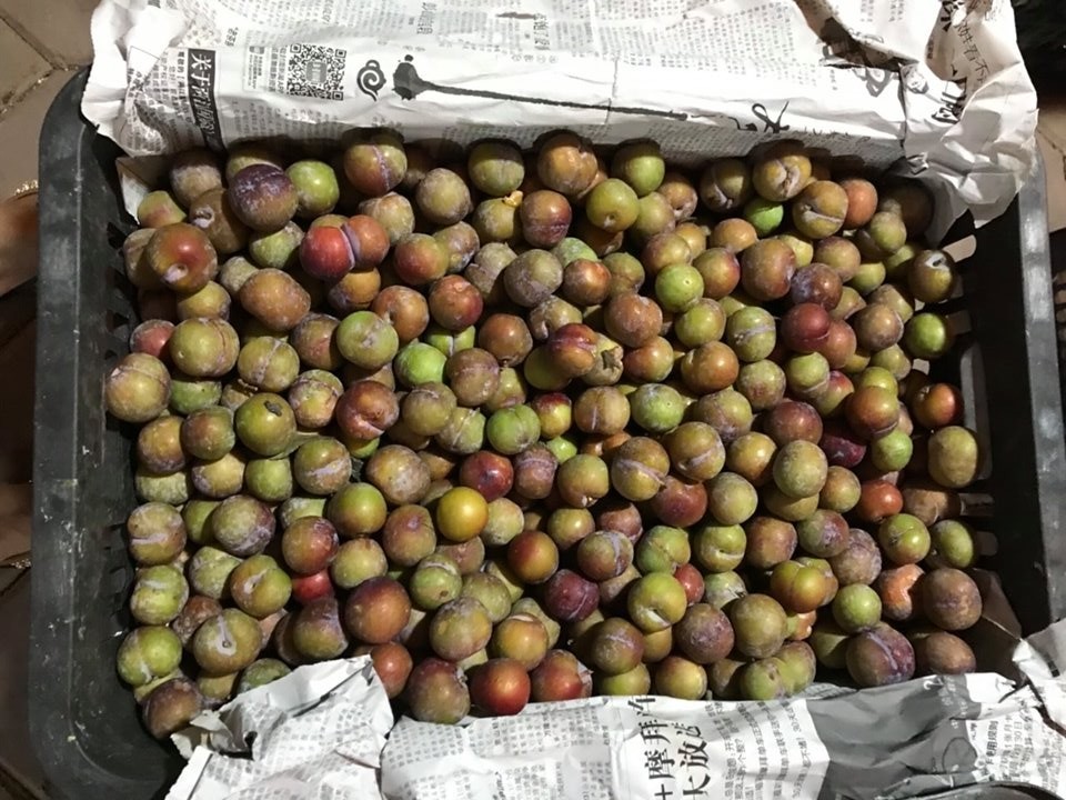 5 loại hoa quả Trung Quốc lẫn hàng Việt bày bán