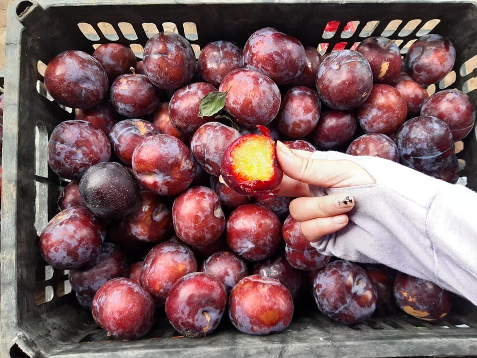 5 loại hoa quả Trung Quốc lẫn hàng Việt bày bán