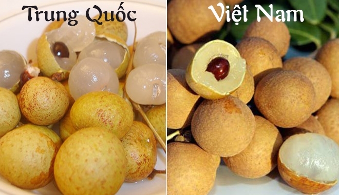 5 loại hoa quả Trung Quốc lẫn hàng Việt bày bán 