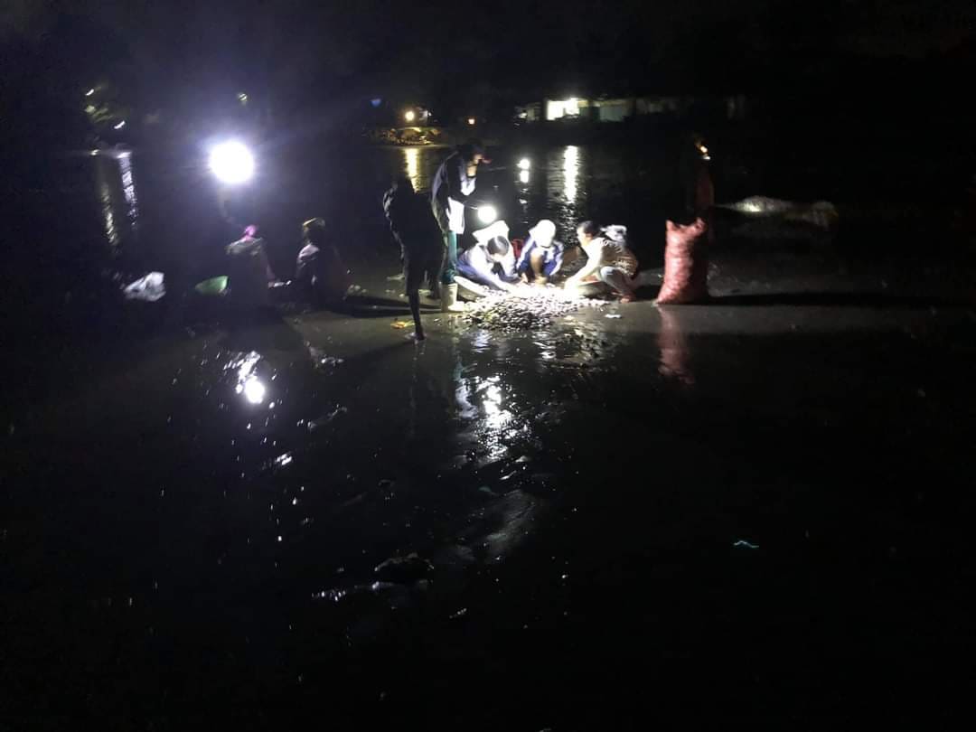 Người dân chong đèn, xuyên đêm vớt “lộc trời” sau mưa bão, thu hàng triệu đồng - Ảnh 3.