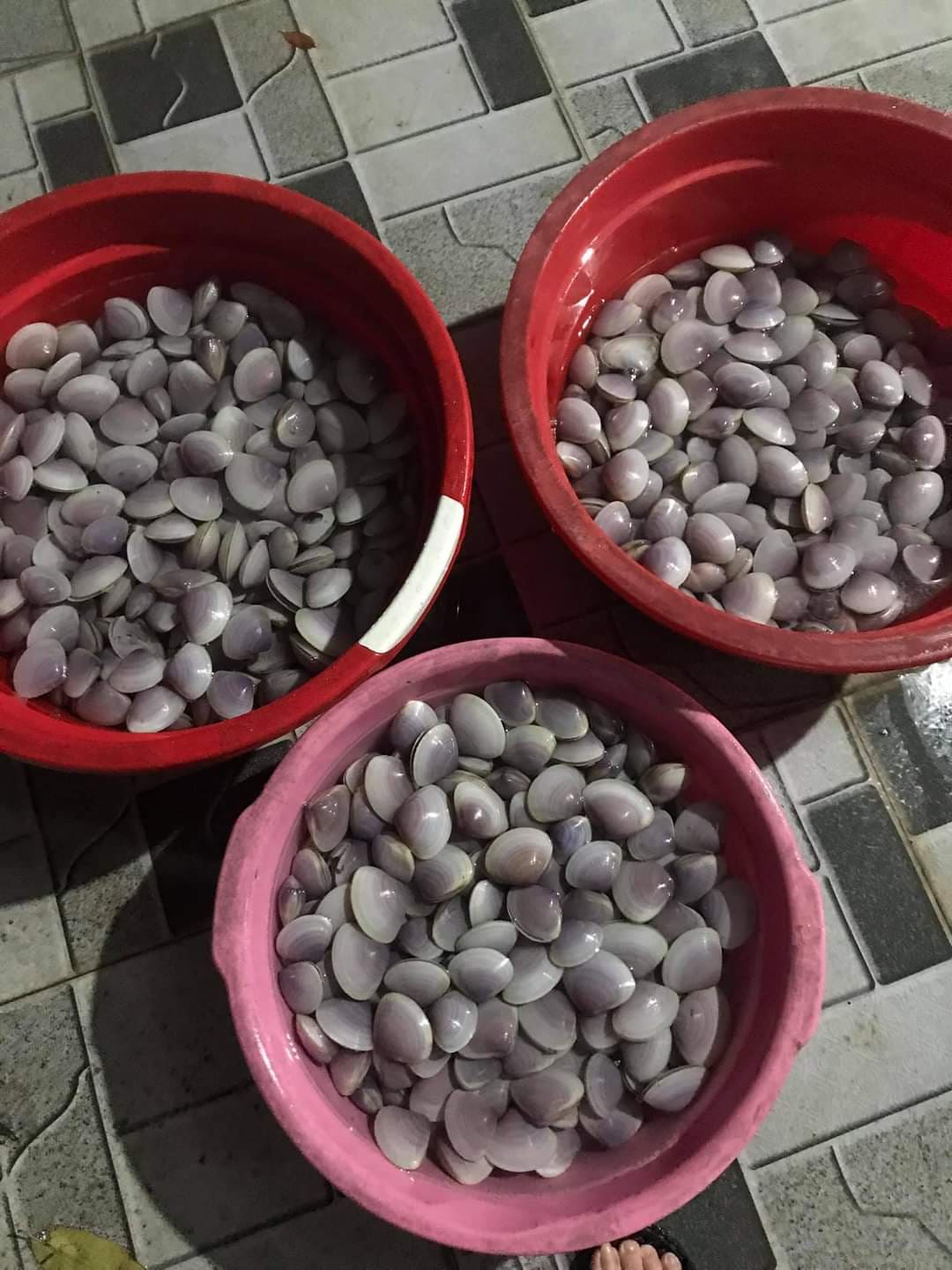 Người dân chong đèn, xuyên đêm vớt “lộc trời” sau mưa bão, thu hàng triệu đồng - Ảnh 5.