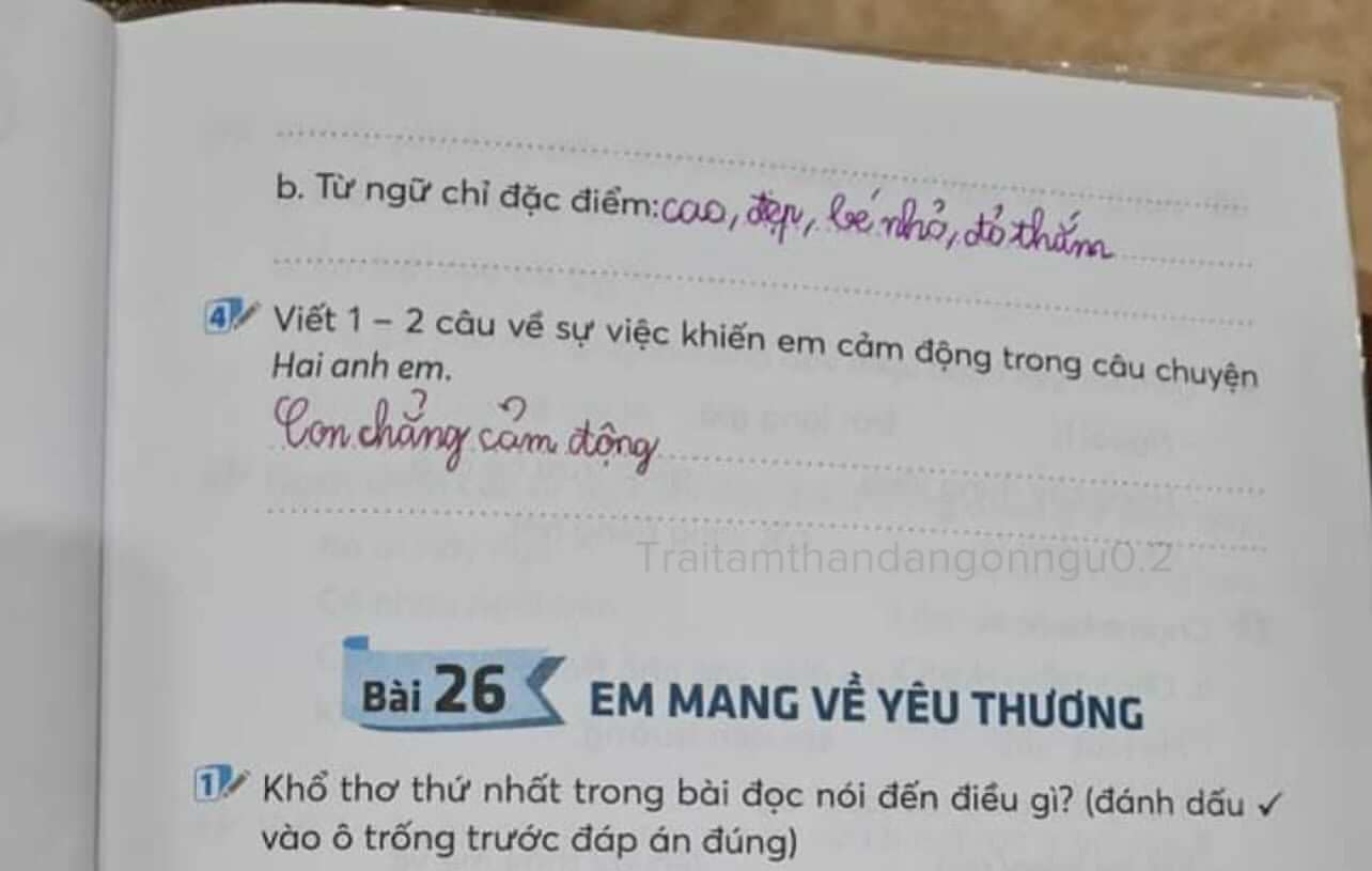 Học sinh tiểu học làm bài tập Tiếng Việt, viết đúng 4 từ mà phụ huynh cười ngất: Con nhà mình lòng dạ sắt đá, phũ phàng quá - Ảnh 1.