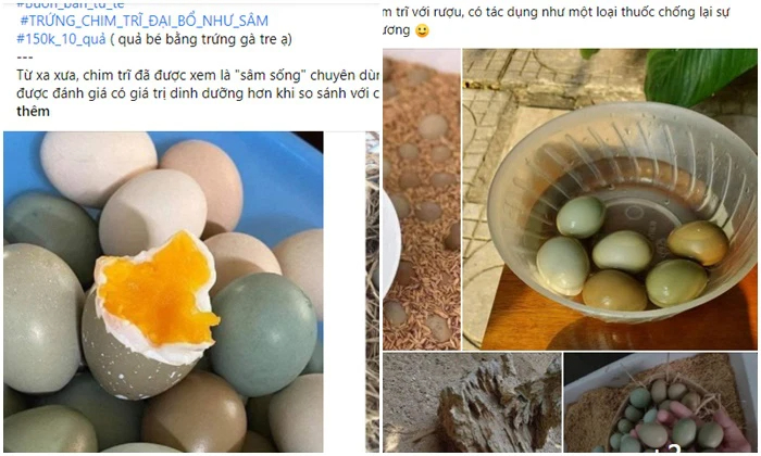 Loại trứng màu xanh đỏ bắt mắt, giá đắt gấp 10 lần trứng gà ta, chị em vẫn bất chấp lùng mua - Ảnh 3.
