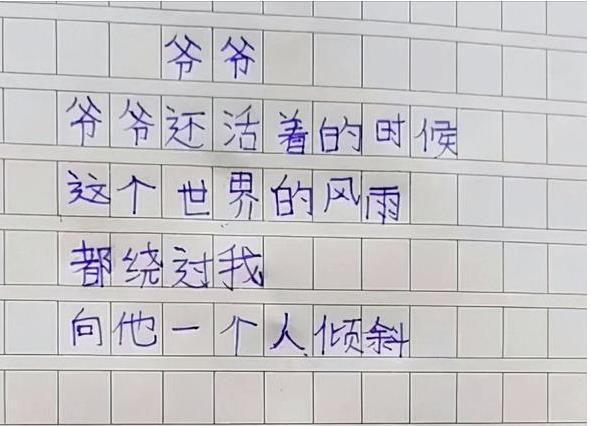 Học sinh tiểu học viết văn tả ông nội, chỉ vỏn vẹn 26 chữ mà khiến cộng đồng mạng dậy sóng - Ảnh 1.