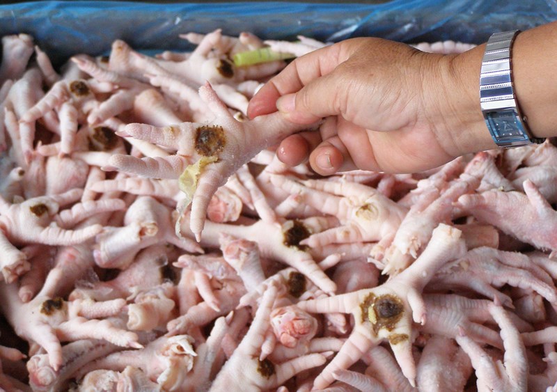 Chân gà rẻ mấy cũng không nên mua nếu bạn phát hiện 5 điều bất thường này - Ảnh 6.