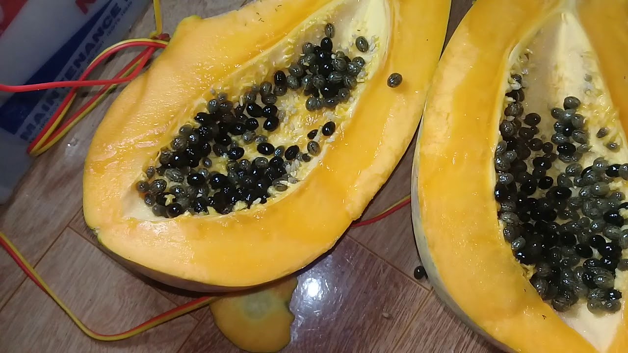 Cách chọn các loại hoa quả hè chuẩn, 10/10 quả đều ngon - Ảnh 6.