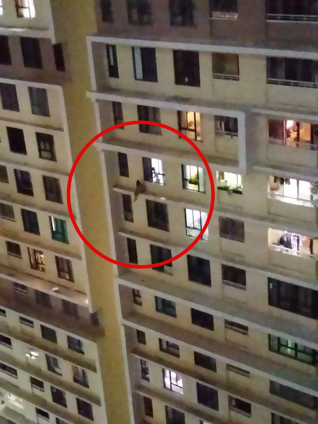 Clip: Hồi hộp khoảnh khắc giải cứu cô gái trẻ có ý định tự tử, ngồi chênh vênh bên ngoài cửa sổ tầng 18 chung cư ở TP.HCM - Ảnh 3.