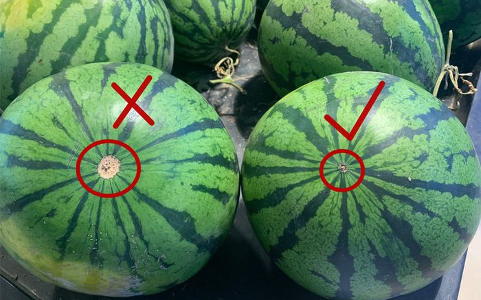 Mẹo chọn dưa hấu ngọt lịm cực đơn giản không phải ai cũng biết
