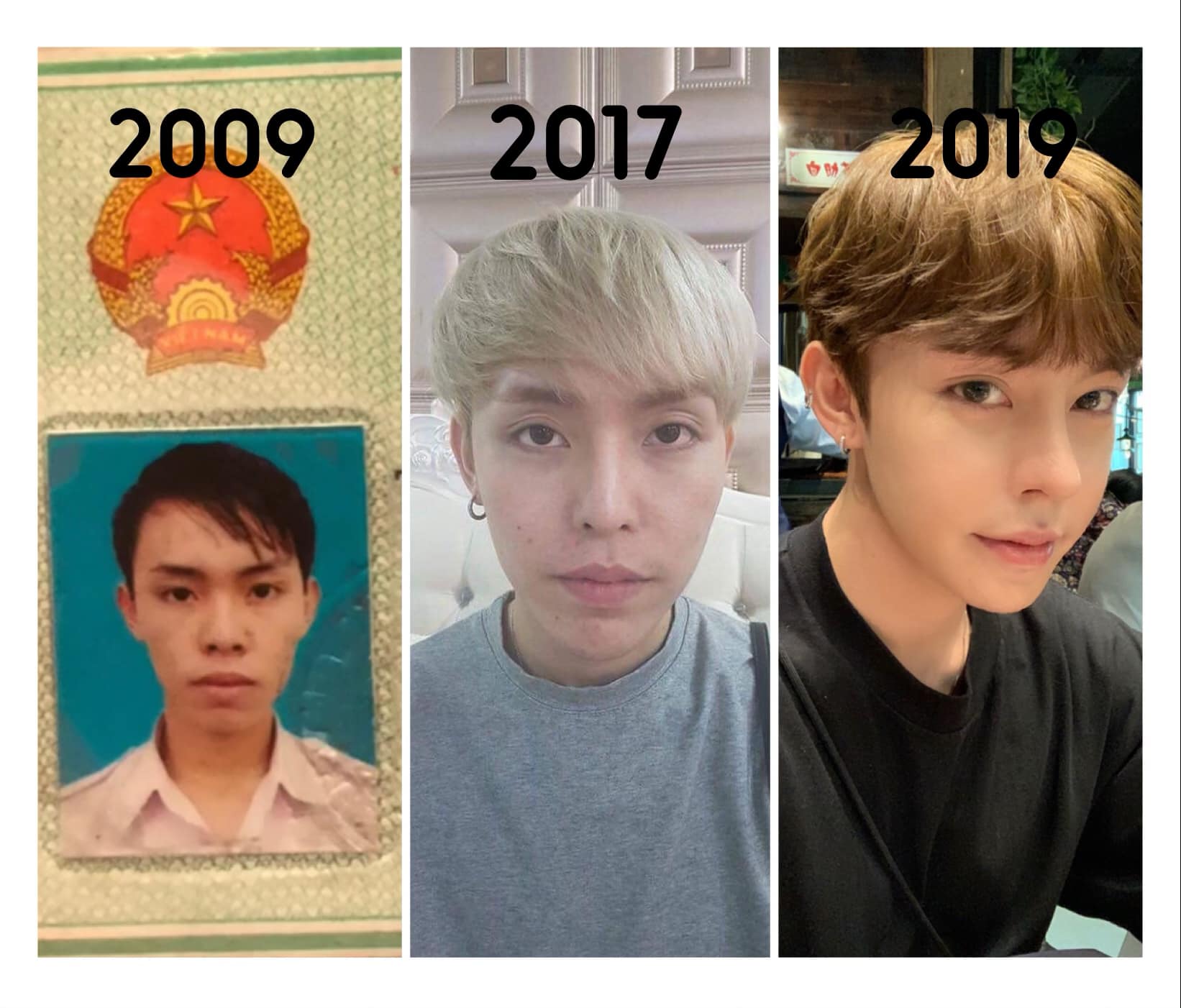 Hành trình lột xác gây