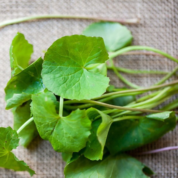 Thêm sản phẩm bị đình chỉ và thu hồi trên toàn quốc, chuyên gia đưa 3 tiêu chí PHẢI ĐẢM BẢO khi mua mỹ phẩm - Ảnh 1.