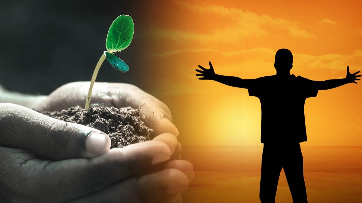 99% mọi người rơi vào 6 bẫy này khi mua bảo hiểm, bảo sao thường kêu ca