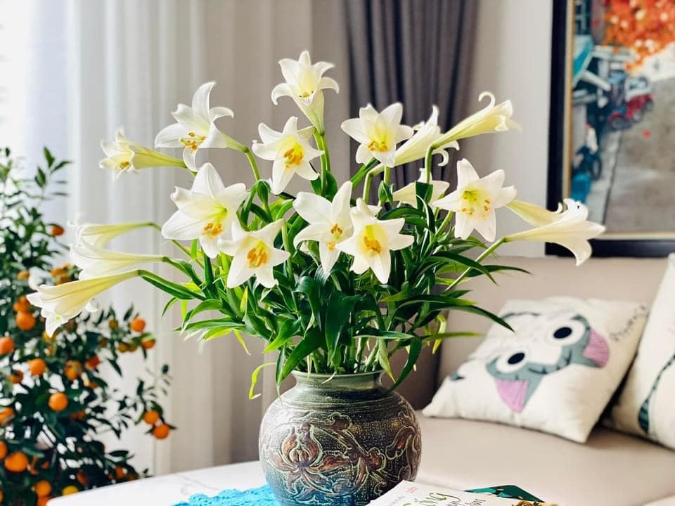 Đón nắng tháng 3 cùng hoa loa kèn tinh khôi đầu mùa giá thành khá cao nhưng chị em Hà thành vẫn tấp nập đặt mua - Ảnh 5.