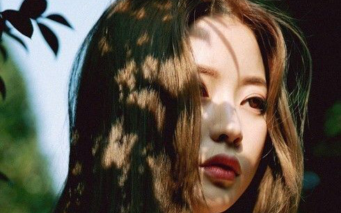 Chị dâu tới chơi lúc giữa trưa, tôi vội bưng bát cơm ra mời, ngờ đâu bị chị hất đổ rồi mách tội với cả nhà