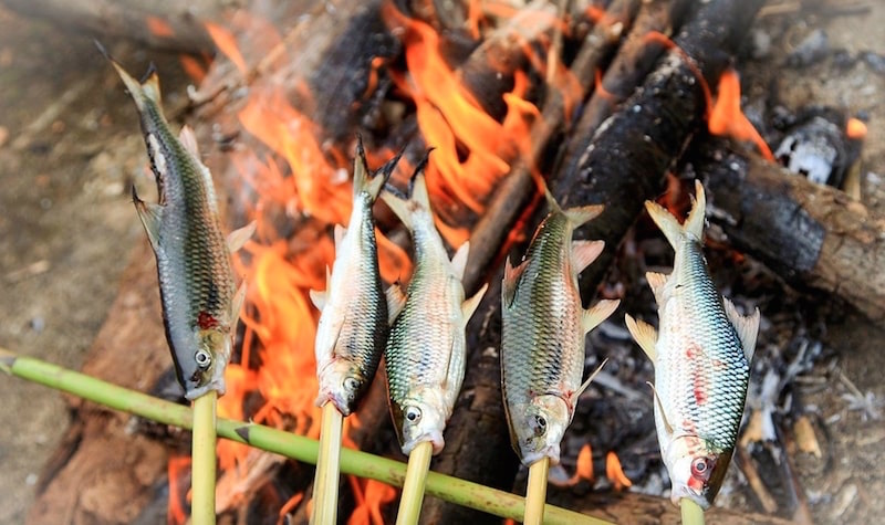 Loài cá của hiếm, cực ngon ở vùng rừng núi: Xưa rẻ, nay thành đặc sản tới 300k/kg được nhà giàu