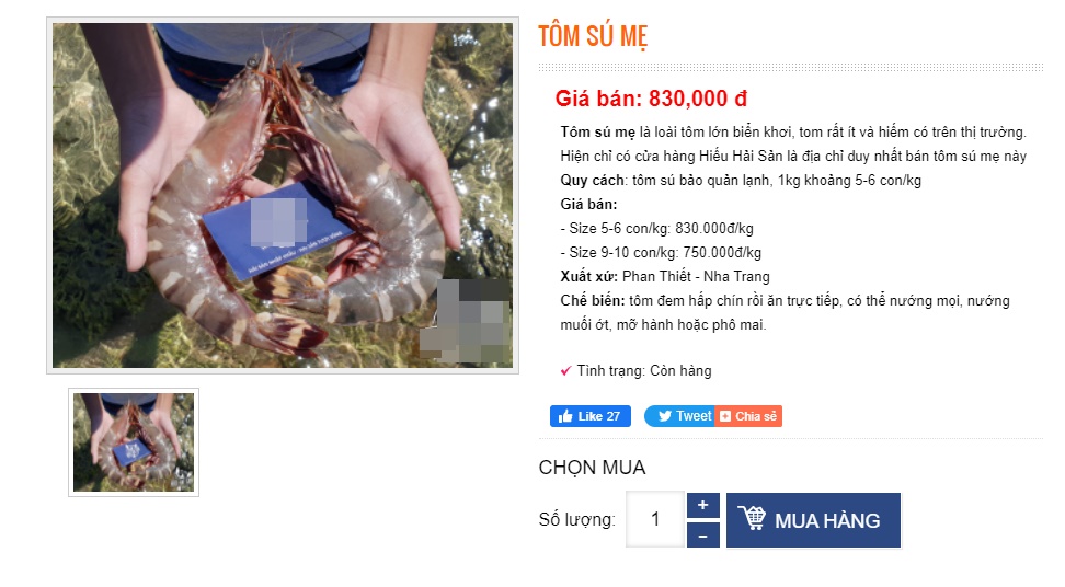 Loại tôm giá 950k/kg, đắt hơn cả tôm hùm được đại gia