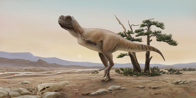 Phát hiện loài khủng long mặt chó bull, tựa như phiên bản "nâng cấp" của khủng long bạo chúa - Ảnh 2.