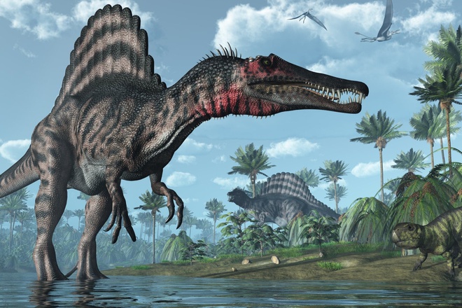 Phát hiện loài khủng long mặt chó bull, tựa như phiên bản "nâng cấp" của khủng long bạo chúa - Ảnh 3.