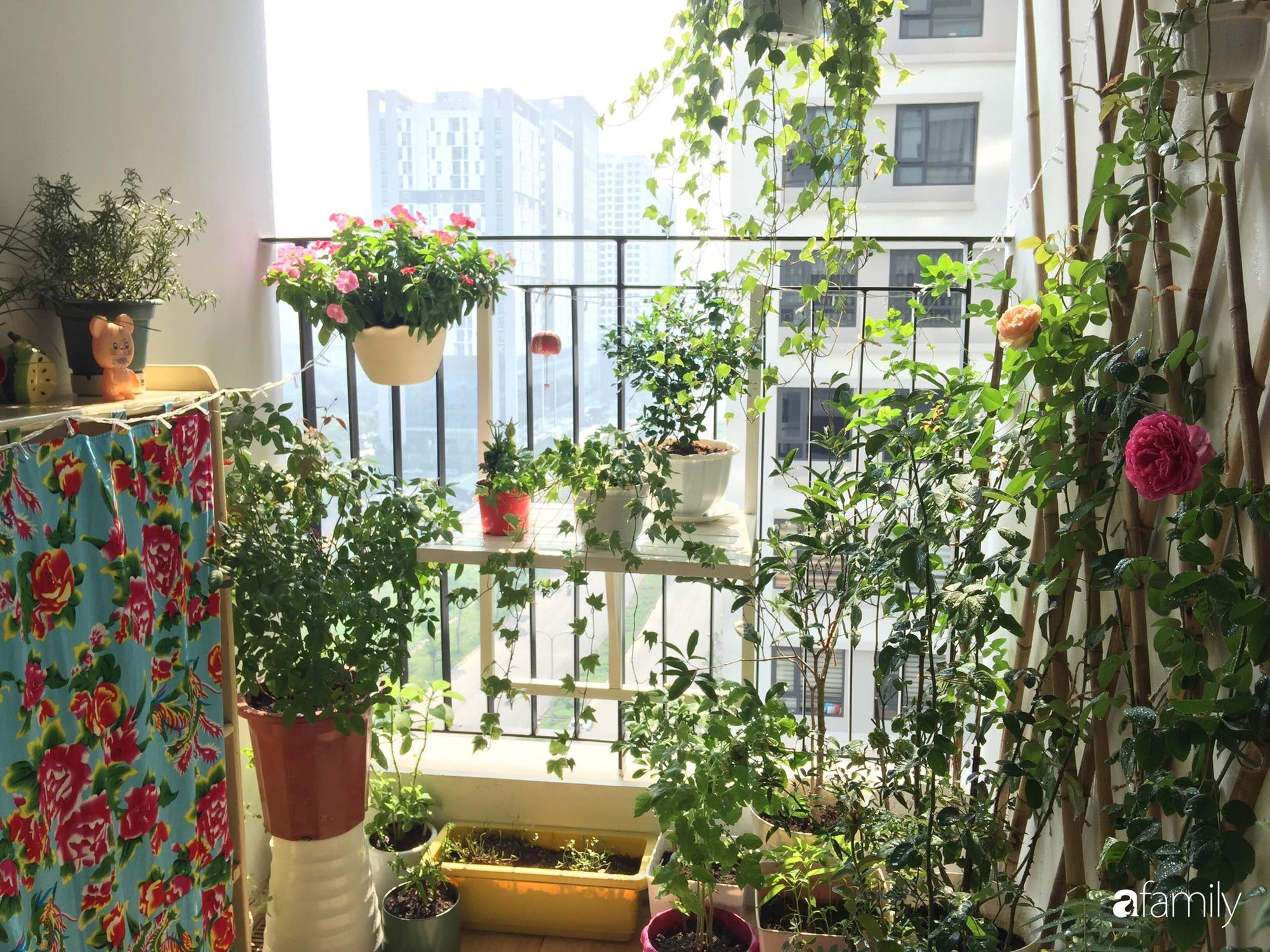 69880890_422992161896994_9057717463235428352_n