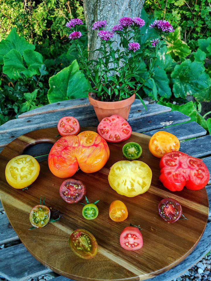 Khu vườn đẹp như cổ tích nhờ sở thích trồng cây và hoa của chàng trai trẻ - Ảnh 15.