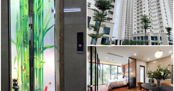 Những lưu ý phải biết trước khi quyết định 