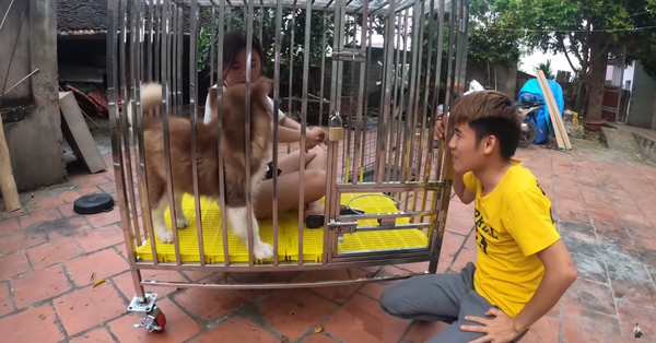 Con trai Bà Tân Vlog gây tranh cãi dữ dội khi nhốt em gái vào chuồng chó để trả thù