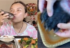 YouTuber Quỳnh Trần JP công khai làm clip ăn chân gấu, phụ huynh la ó vì nội dung độc hại cho trẻ em!