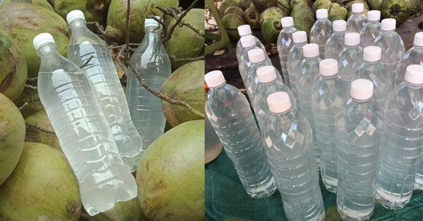Nước dừa chỉ từ 35.000 đồng/lít bán đầy chợ mạng, nổ đơn 'ầm ầm' mùa nắng nóng