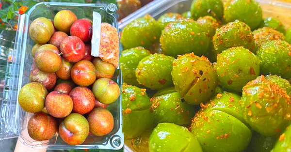 Plums at the beginning of the season are expensive, costing a few hundred thousand VND/kg and still being cleared