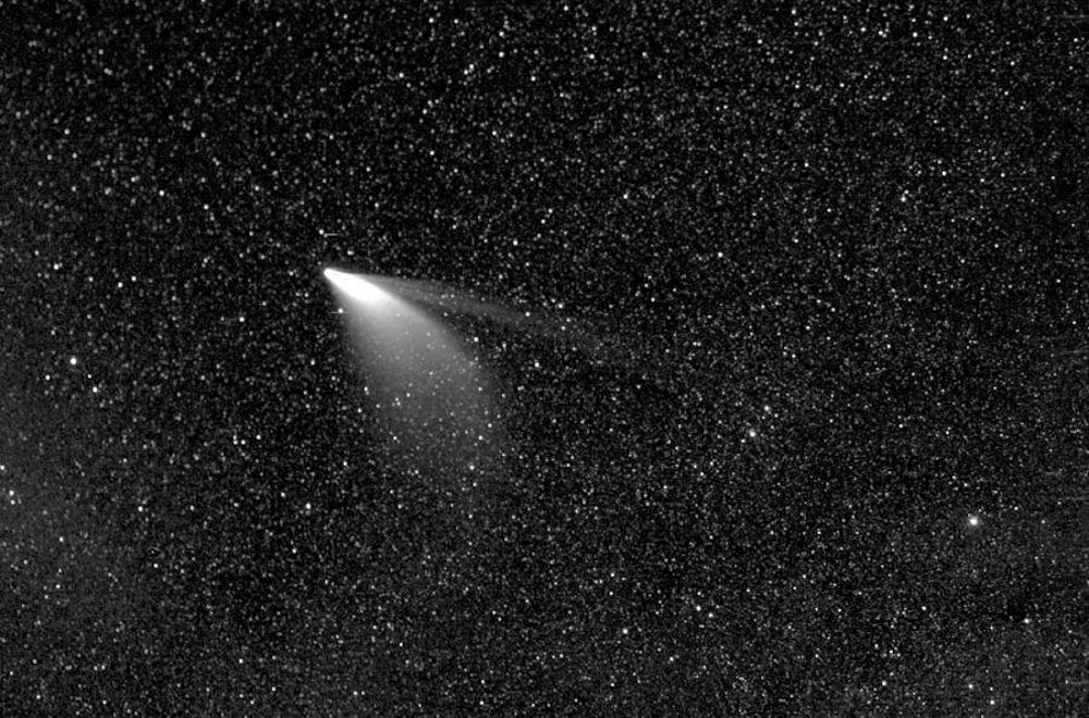 Sao chổi sáng nhất 23 năm thống trị màn đêm thế giới - 4