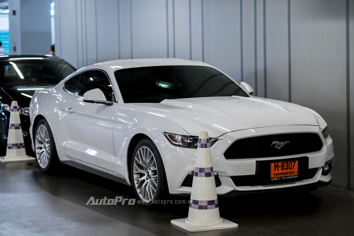 Ngoài những chiếc siêu xe, thì những mẫu xe cơ bắp như Ford Mustang cũng xuất hiện.