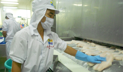 Mỗi công ty thủy sản trung bình lỗ 10 tỷ/tháng khi ngừng vì Covid-19