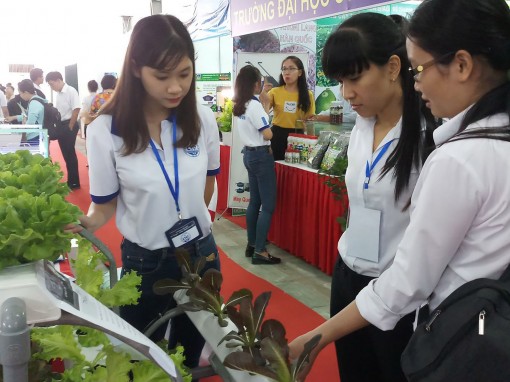 Cần Thơ thúc đẩy phát triển hệ sinh thái khởi nghiệp đổi mới sáng tạo