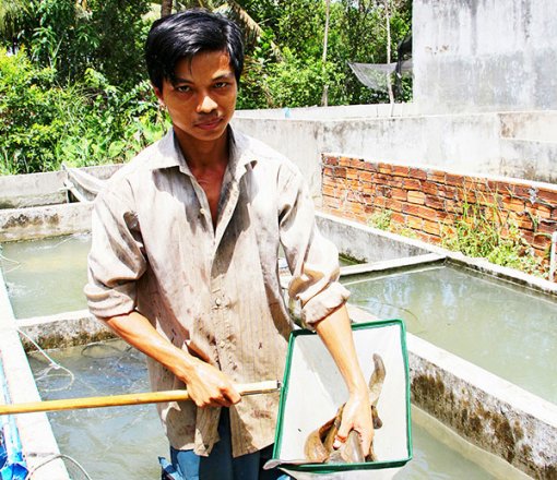 Tỷ phú cá chạch lẩu ở miền Tây