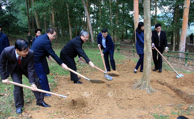 Thường trực Ban Bí thư dự lễ phát động Tết trồng cây