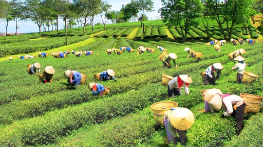 Chuẩn bị nguồn lực để phát triển KTXH vùng dân tộc thiểu số và miền núi