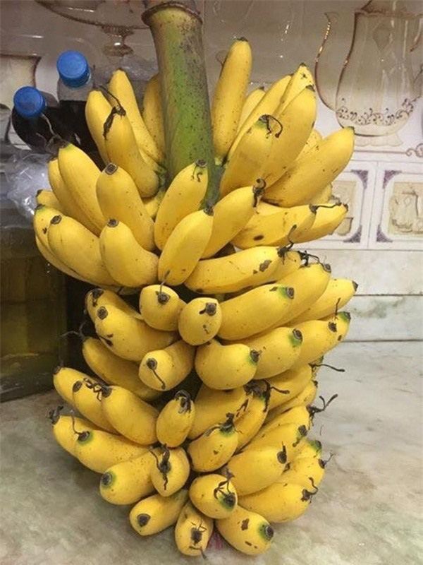 Chuối chín tự nhiên không có hiện tượng này.