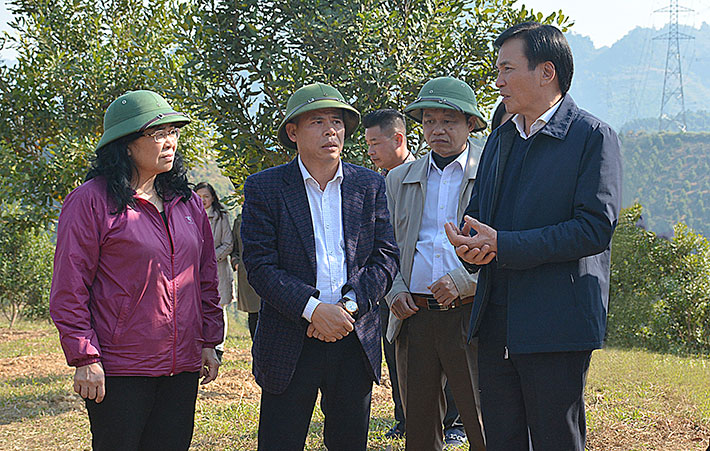 Ðoàn kết, quyết tâm thực hiện thắng lợi mục tiêu Nghị quyết Ðại hội XIII Ðảng bộ tỉnh