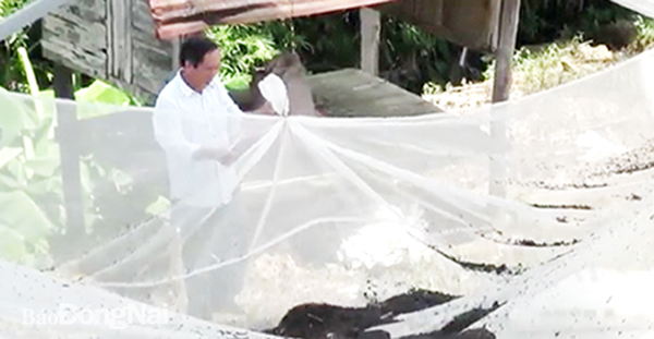 Thu hoạch phân dơi ở chòi nuôi dơi nhà ông Phan Văn Minh (ngụ xã Phú Lý, H.Vĩnh Cửu)