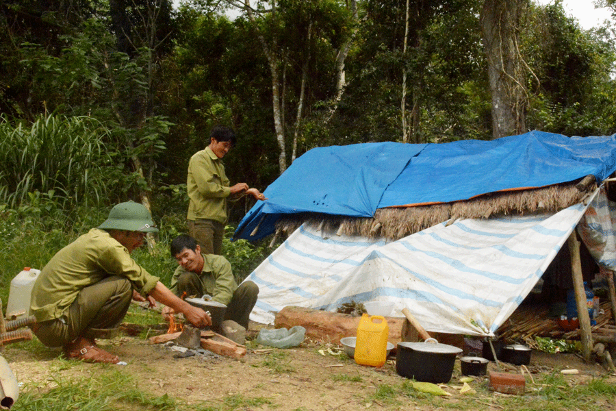 Chuyện cảm động những người giữ rừng Giáng hương cổ thụ - ảnh 2