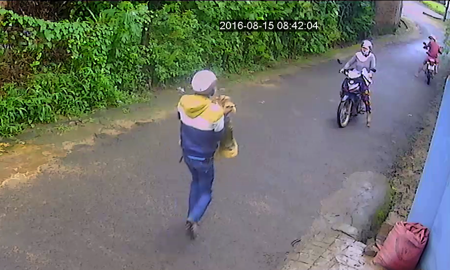 Gia Lai: Trộm tượng gỗ giữa ban ngày - ảnh 2