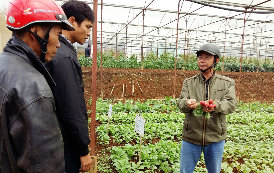 Khi nông dân trồng rau củ tí hon - ảnh 1