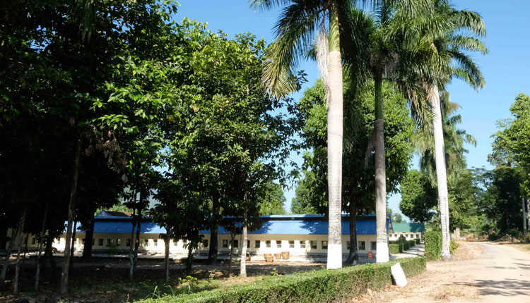 Khu nhà nuôi chuột nằm dưới tán cây rất thoáng mát nhằm giúp đàn chuột có sức khoẻ tốt nhất để phục vụ mục đích nghiên cứu, thí nghiệm