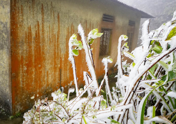 Chùm ảnh băng giá xuất hiện tại Sa Pa - ảnh 4