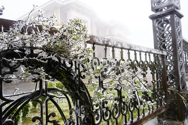 Chùm ảnh băng giá xuất hiện tại Sa Pa - ảnh 5