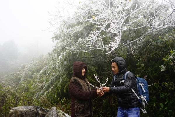 Chùm ảnh băng giá xuất hiện tại Sa Pa - ảnh 9