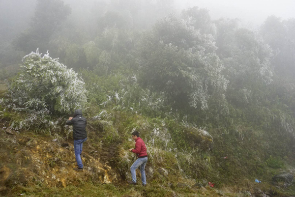 Chùm ảnh băng giá xuất hiện tại Sa Pa - ảnh 11